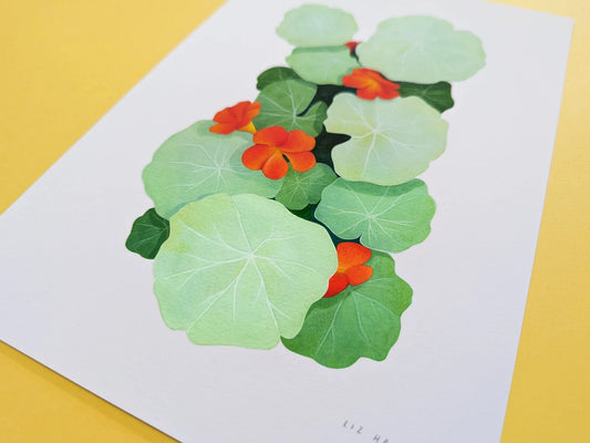 Nasturtium Print - Available in 2 sizes