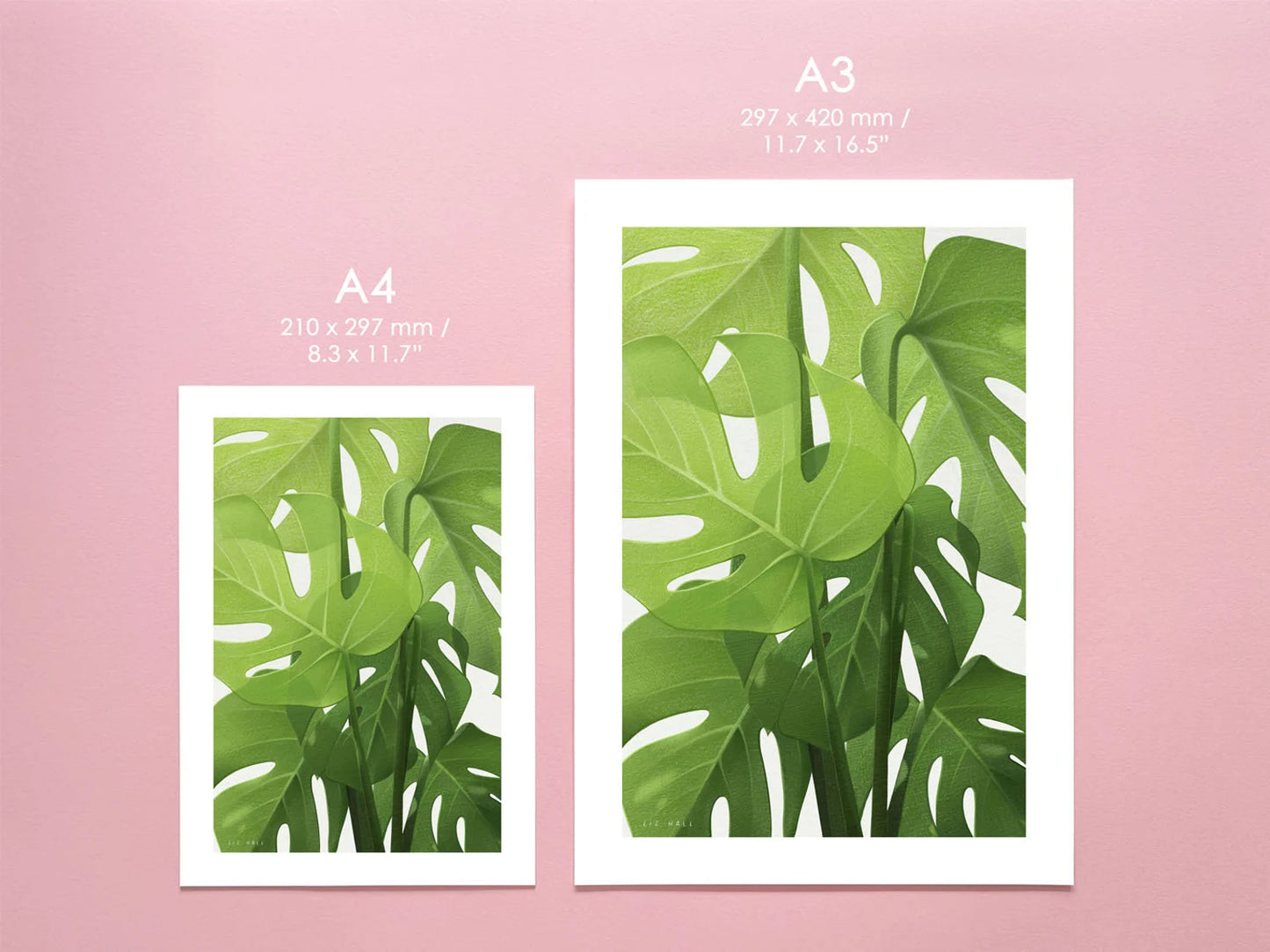 Monstera Print - Available in 2 sizes