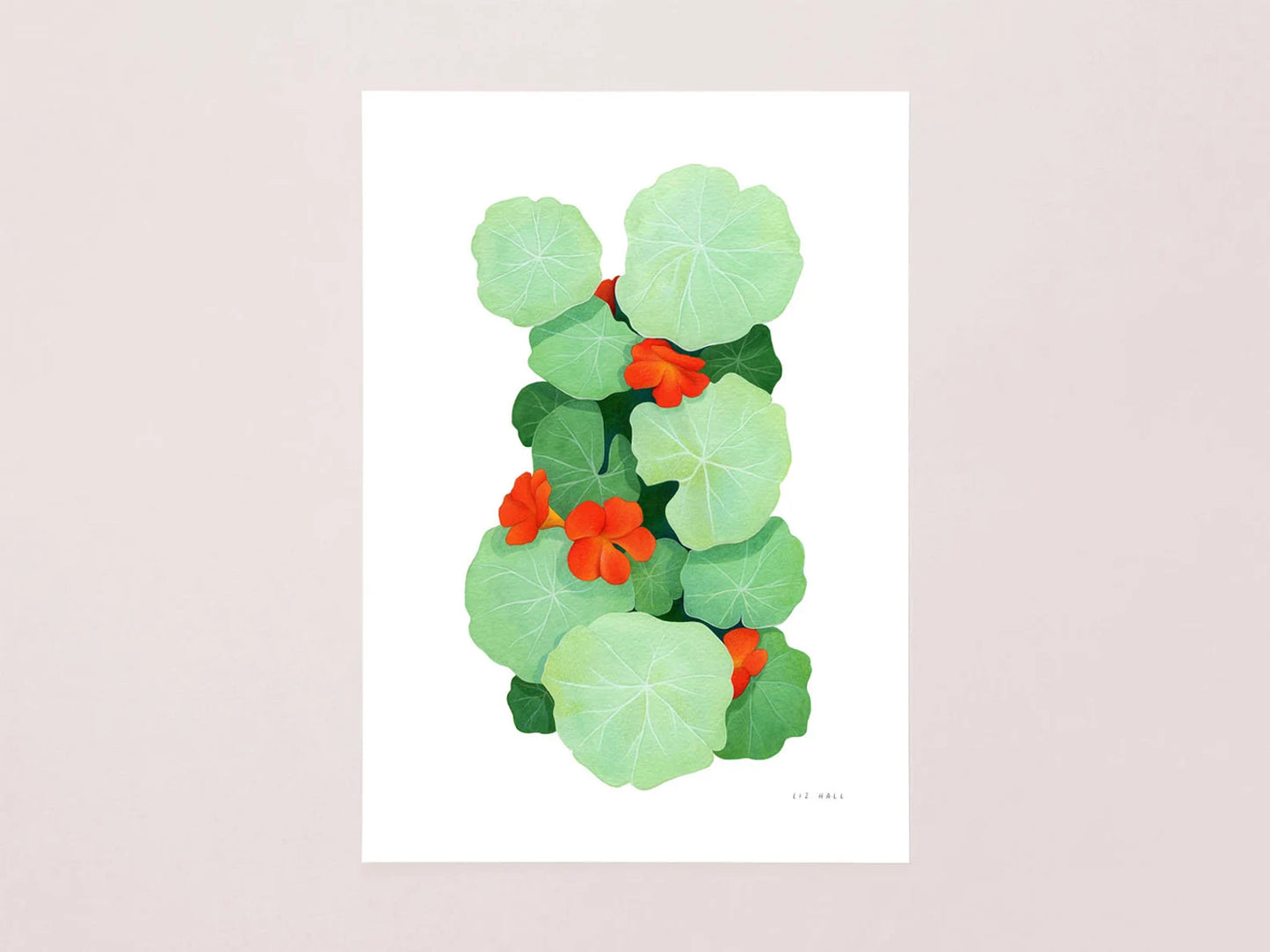 Nasturtium Print - Available in 2 sizes