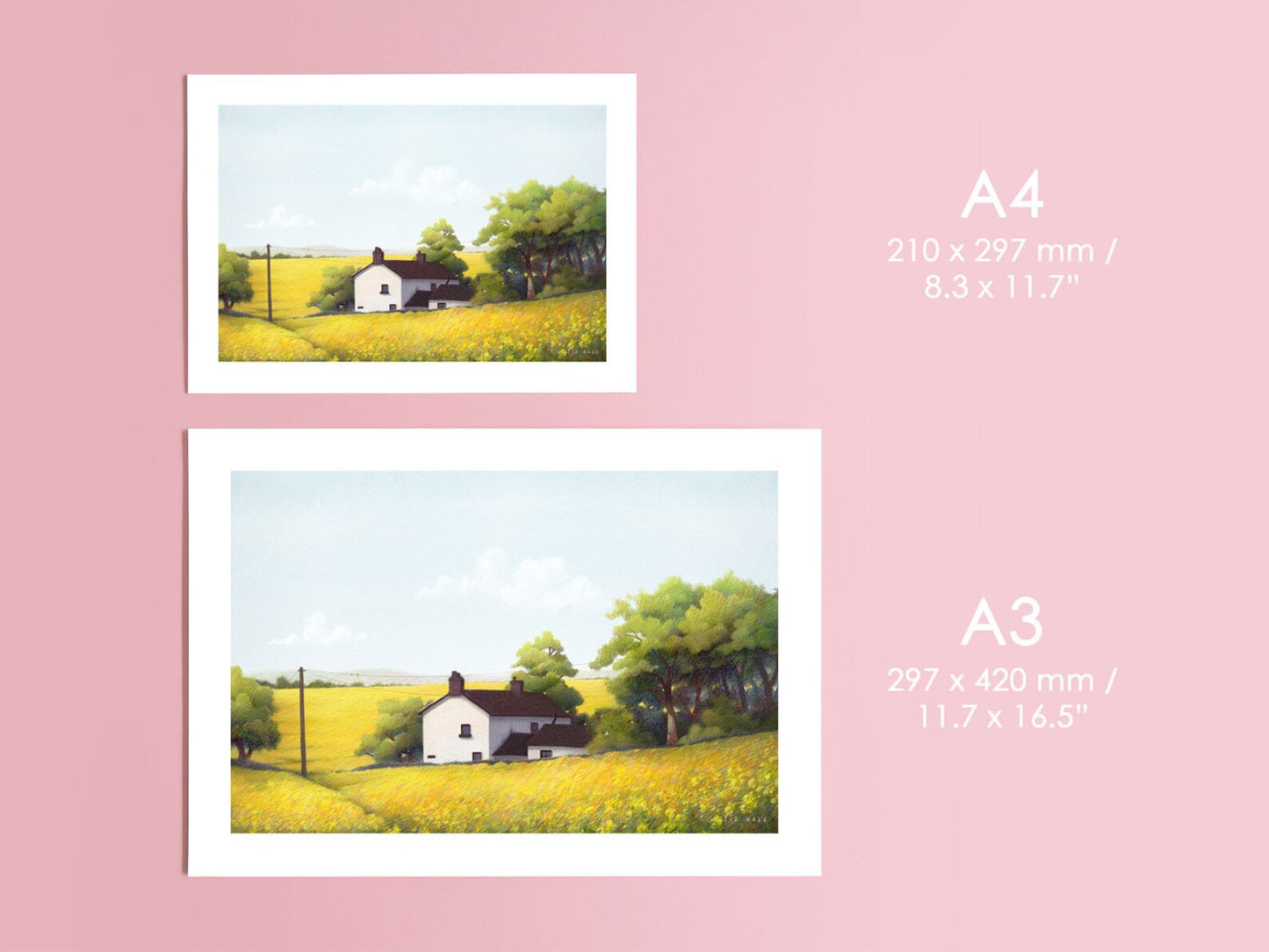 Yellow Fields Print - Available in 2 sizes