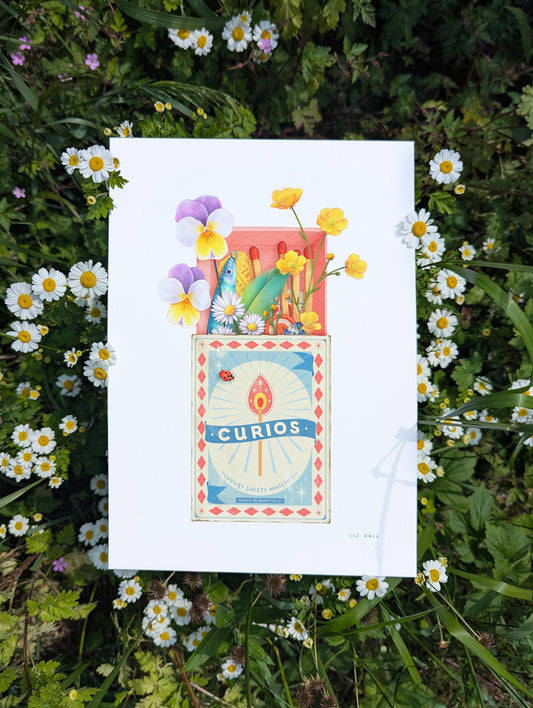 Curious Matchbox Print - Available in 2 sizes