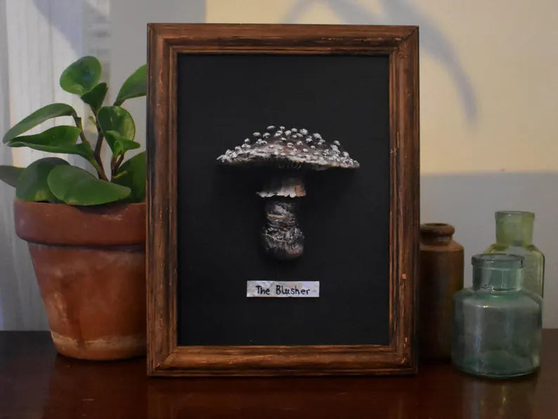Blusher Mushroom A5 Print