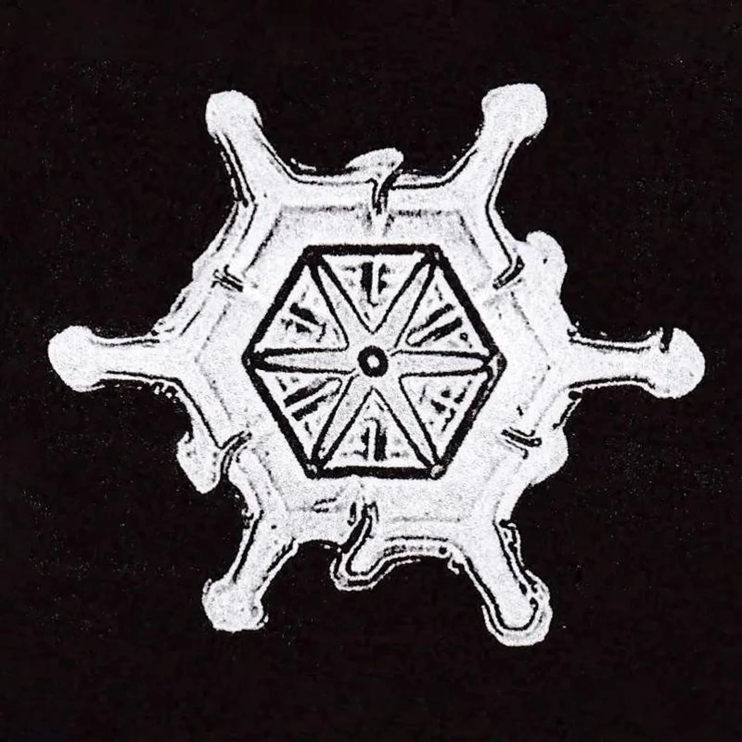 Stellar Plate Snowflake Enamel Pin
