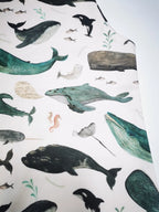 Whale Song Romper